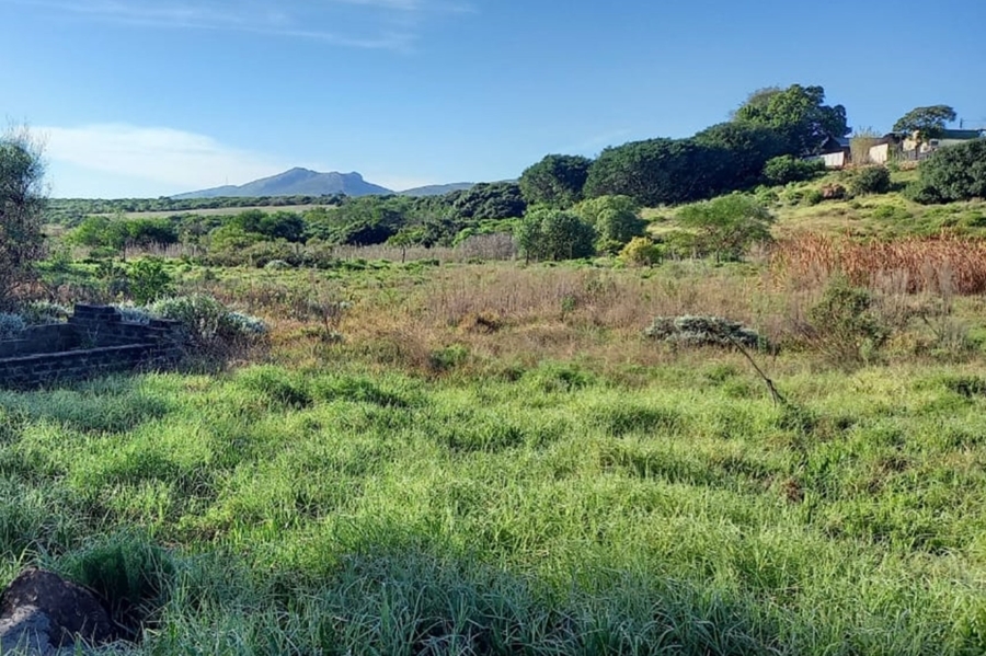 0 Bedroom Property for Sale in Albertinia Western Cape